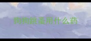 狗狗跳蚤用什么药