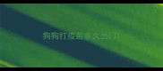 狗狗打疫苗多久出门