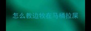 怎么教边牧在马桶拉屎