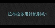 拉布拉多用针梳刷毛