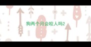 狗两个月会咬人吗