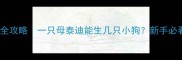 泰迪生育全攻略一只母泰迪能生几只小狗新手必看产仔指南