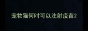 宠物猫何时可以注射疫苗