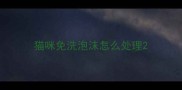 猫咪免洗泡沫怎么处理