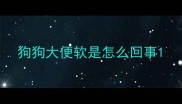 狗狗大便软是怎么回事