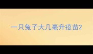 一只兔子大几毫升疫苗
