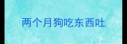 两个月狗吃东西吐
