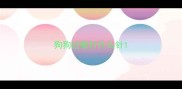 狗狗过敏打什么针