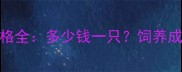 小拉布拉多价格全多少钱一只饲养成本与选购指南