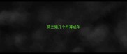 荷兰猪几个月算成年