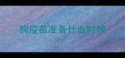 狗疫苗准备什么时候