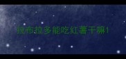 拉布拉多能吃红薯干嘛