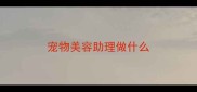 宠物美容助理做什么