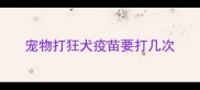 宠物打狂犬疫苗要打几次