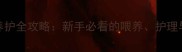15天幼犬养护全攻略新手必看的喂养护理与健康指南