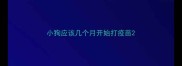 小狗应该几个月开始打疫苗