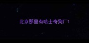 北京那里有哈士奇狗厂