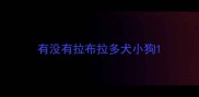 有没有拉布拉多犬小狗