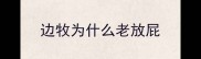 边牧为什么老放屁