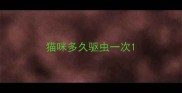猫咪多久驱虫一次