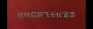 边牧后腿飞节位置高