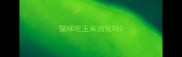 猫咪吃玉米消化吗