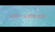 边牧一见到我就哭