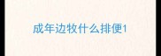 成年边牧什么排便