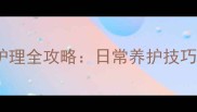 泰迪犬皮毛护理全攻略日常养护技巧与常见问题