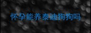 怀孕能养泰迪狗狗吗
