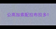 公高加索配拉布拉多