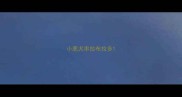 小鹿犬串拉布拉多