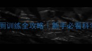 边牧幼犬如厕训练全攻略新手必看科学养宠指南