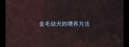 金毛幼犬的喂养方法