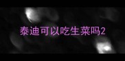 泰迪可以吃生菜吗