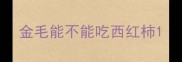 金毛能不能吃西红柿