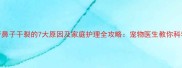 哈士奇鼻子干裂的7大原因及家庭护理全攻略宠物医生教你科学应对