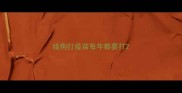 给狗打疫苗每年都要打