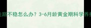 狗狗走路不稳怎么办3-6月龄黄金期科学养护指南