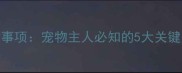 细小排毒期打疫苗注意事项宠物主人必知的5大关键点附专业兽医建议