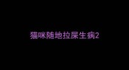 猫咪随地拉屎生病