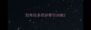 拉布拉多四岁牵引训练