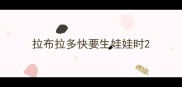 拉布拉多快要生娃娃时