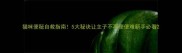 猫咪便秘自救指南5大秘诀让主子不再便便难新手必看