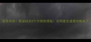 紧急求助泰迪幼犬4个月突然便秘全网最全通便攻略来了