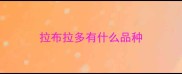 拉布拉多有什么品种