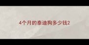 4个月的泰迪狗多少钱