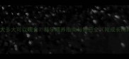 金毛幼犬多大可以喂食科学喂养指南与禁忌全附成长时间表