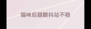 猫咪后腿颤抖站不稳