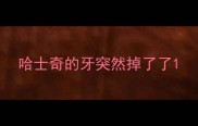 哈士奇的牙突然掉了了